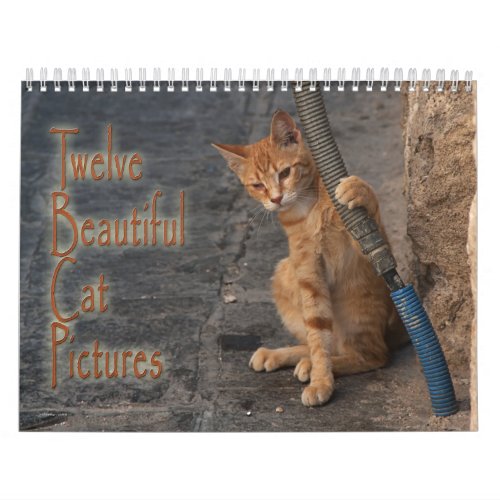 Twelve Beautiful Cats Pictures Calendar