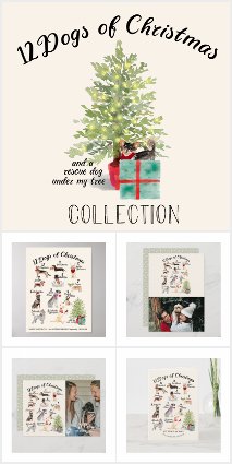 TWELVE DOGS OF CHRISTMAS