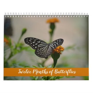 Twelve Months of Butterflies