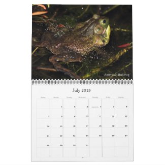2019 Frog Photo Calendar for sale