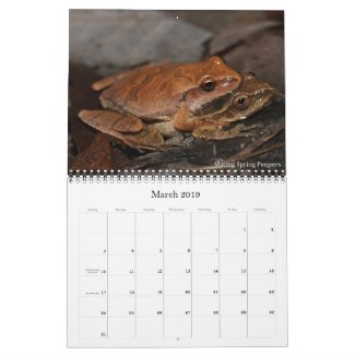 2019 Frog Photo Calendar for sale; Amplexing Spring Peepers
