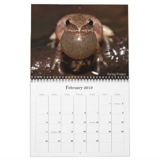 2019 Frog Photo Calendar for sale