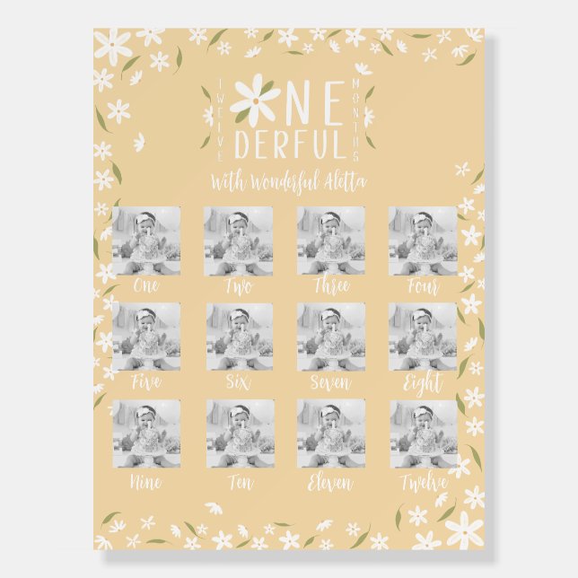 "Twelve Months Of Me" First Birthday Sign (Front)