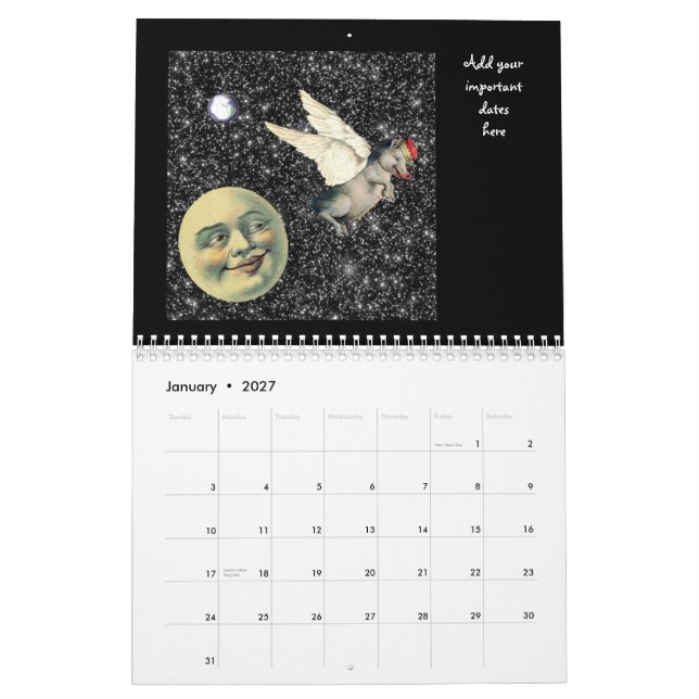 Twelve Peculiar Months 2012 Calendar (Jan 2027)