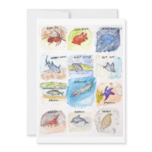 Twelve Sea Creatures Greeting Card