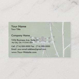 Twelve-Spot Skimmer Business Card
