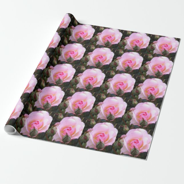 Twentieth Wedding Anniversary Perfect English Rose Wrapping Paper (Unrolled)