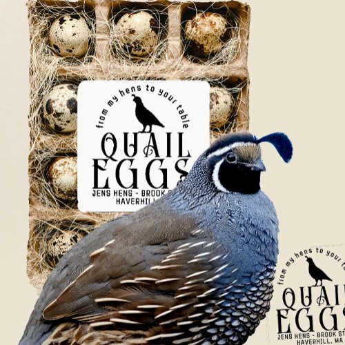 Twenty_five Transparent or White Quail Egg Carton Sticker