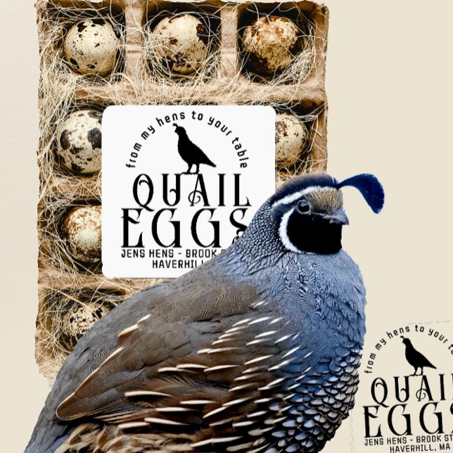 Twenty-five Transparent or White Quail Egg Carton Sticker (Creator Uploaded)