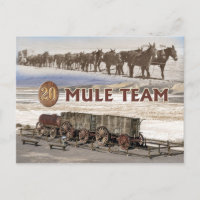 Twenty-mule team wagons, Death Valley, California
