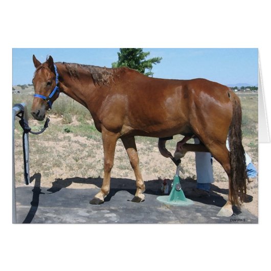 TWH Horse Farrier Hoof Care - Blank Inside Cards (Front Horizontal)