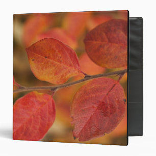 Twig covered with autumn leaves 3 ring binder
