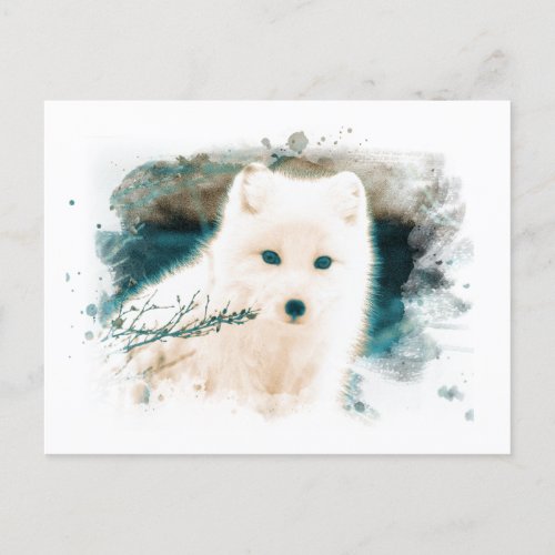  Twig Snow Fox White Fox AP18 Arctic Polar Postcard