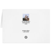 Twiga Masai (Masai Giraffe) Cards (Back Horizontal)