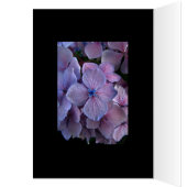 Twightlight Hydrangea Cards (Inside (Left))