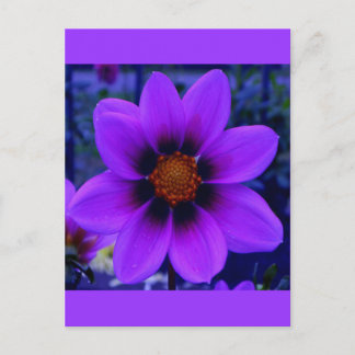 Twilight Bloom Purple Flower at Dusk Postcard