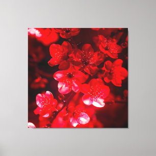 Twilight Cherry Blossom Glow Canvas Print