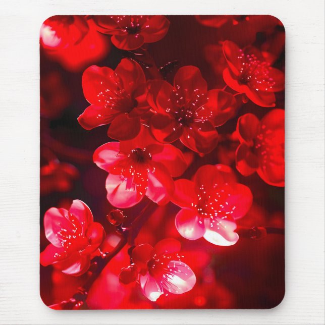 Twilight Cherry Blossom Glow Mouse Pad (Front)