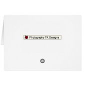 Twilight Cosmos Wildflower (Back Horizontal)