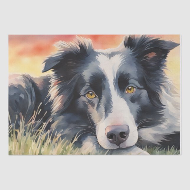 Twilight Harmony: Border Collie Decoupage Tissue Paper (Front)