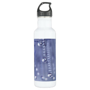 Twilight in Crystal Stainless Steel Water Bottle