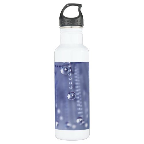 Twilight in Crystal Stainless Steel Water Bottle