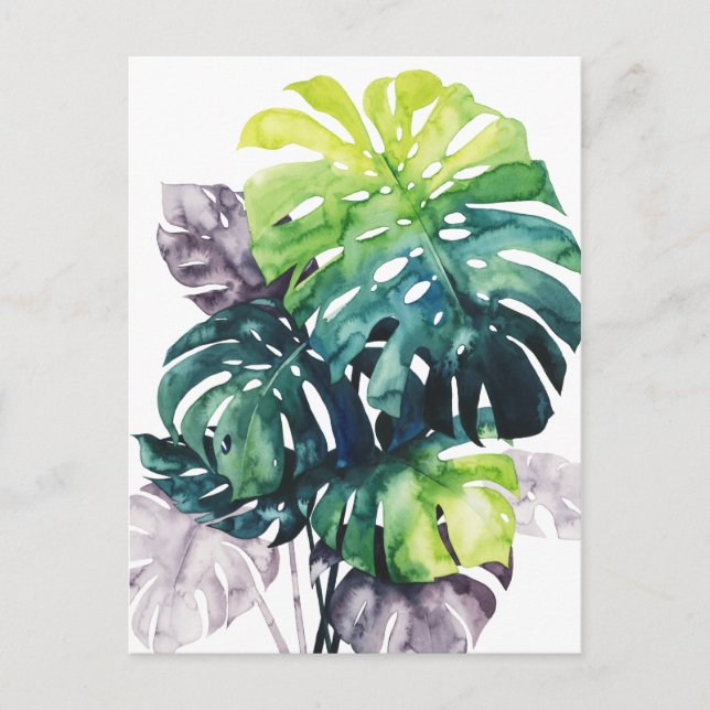 Twilight Palms - Split Leaf Postcard (Front)