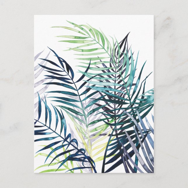 Twilight Palms - Tropical Leaves Postcard (Front)