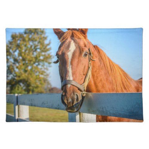 Twilight Rose  Thoroughbred Race Horse Cloth Placemat