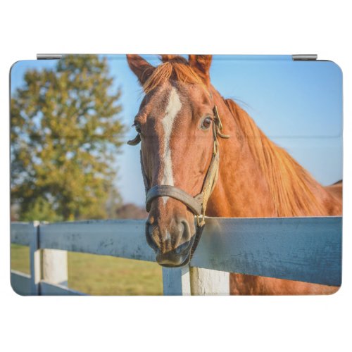 Twilight Rose  Thoroughbred Race Horse iPad Air Cover
