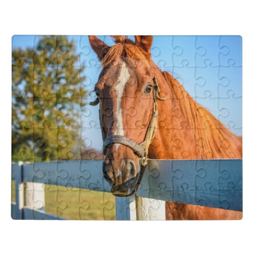 Twilight Rose  Thoroughbred Race Horse Jigsaw Puzzle