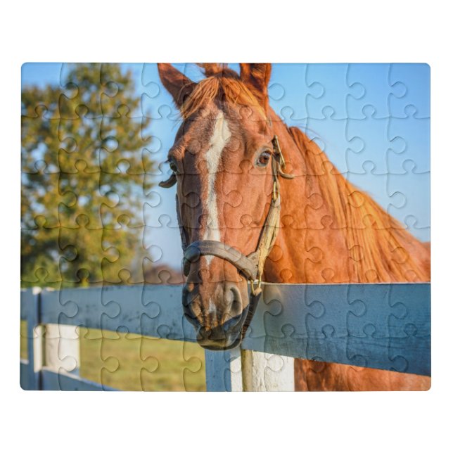 Twilight Rose | Thoroughbred Race Horse Jigsaw Puzzle (Puzzle Horizontal)