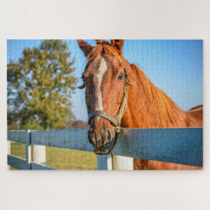 Twilight Rose Thoroughbred Race Horse Jigsaw Puzzle