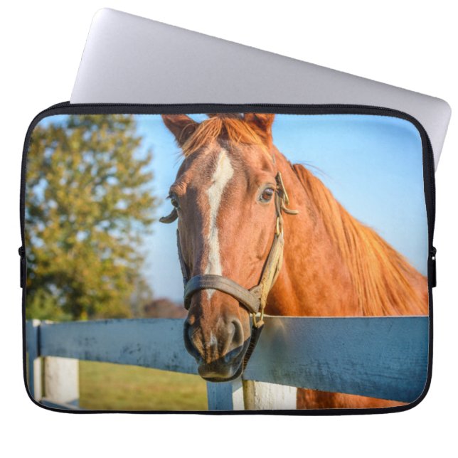 Twilight Rose | Thoroughbred Race Horse Laptop Sleeve (Front)