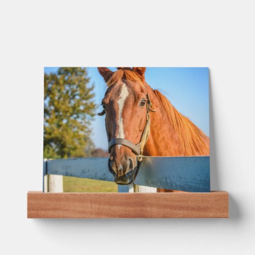 Twilight Rose  Thoroughbred Race Horse Picture Ledge