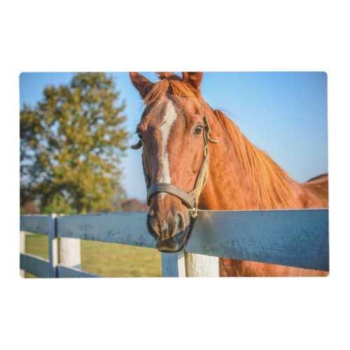 Twilight Rose  Thoroughbred Race Horse Placemat