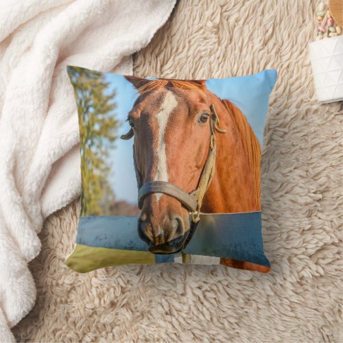 Twilight Rose  Thoroughbred Race Horse Throw Pillow