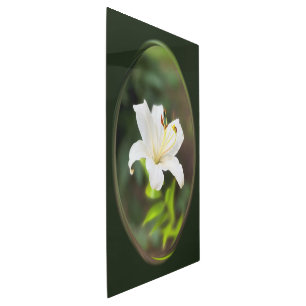 Twilight white lily metal print