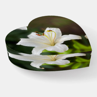 Twilight white lily paperweight