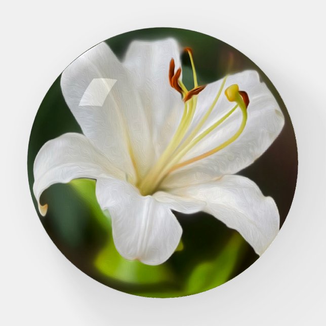 Twilight white lily paperweight (Front)