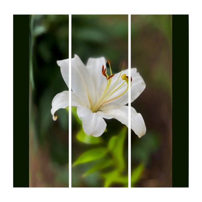 Twilight white lily triptych (Front)