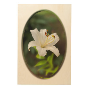 Twilight white lily wood wall art