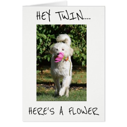 ***TWIN*** A FLOWER TO MAKE U SMILE **39** HUMOR CARD