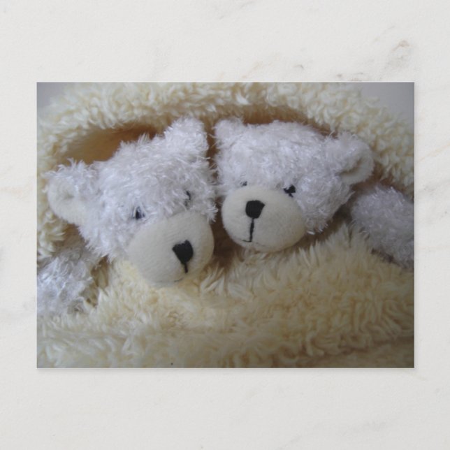 twin baby announcement- bears in a blanket announcement postcard (Front)