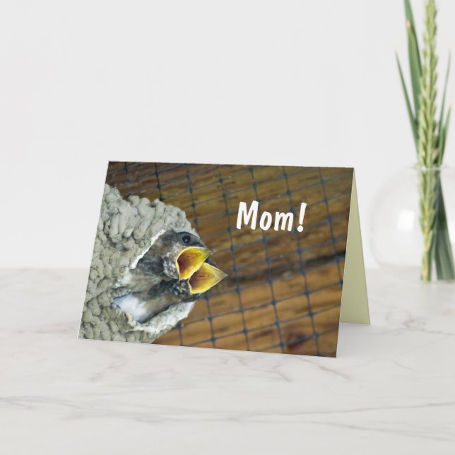 Twin Baby Birds Mother's Day Card (Front)