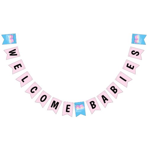 Twin Baby Girls Shower Bunting Flags