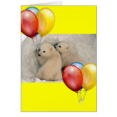 TWIN BABY POLAR BEARS (Front)