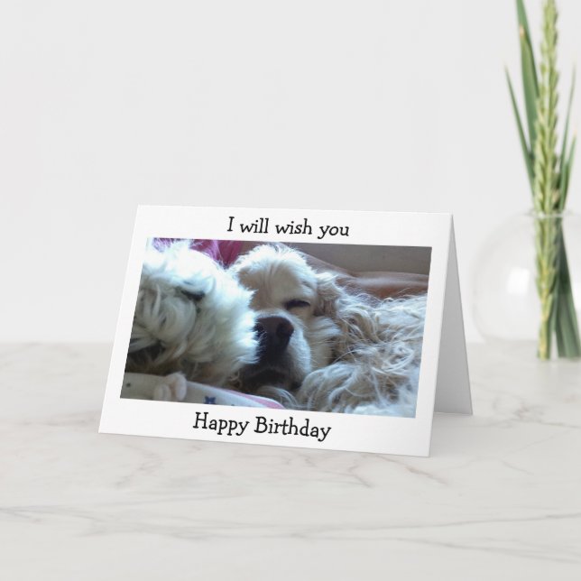TWIN BIRTHDAY WISH ONLY IF YOU STAY OLDER THAN ME CARD (Front)