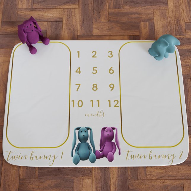 Twin Boy Girl Bunny Monthly Milestone Baby Blanket (Creator Uploaded)