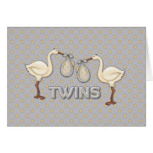Twin Boys